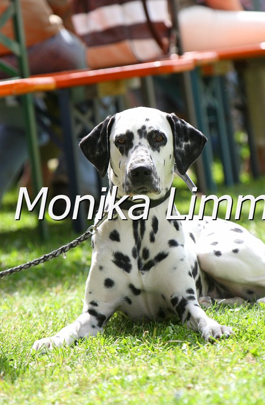 096M5743_in klein dazu.jpg